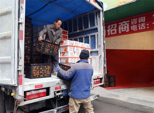 觀山湖即將開業(yè) 水果與奶制品批發(fā)及進(jìn)出口一站式交易中心