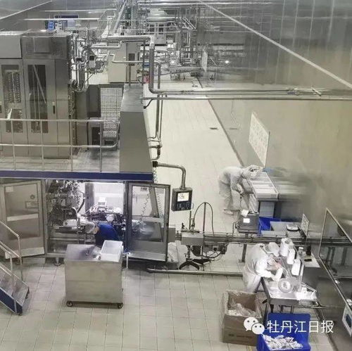 中俄跨境乳制品加工廠項目 前5個月產值增長超300%，奶制品批發與進出口蓬勃發展